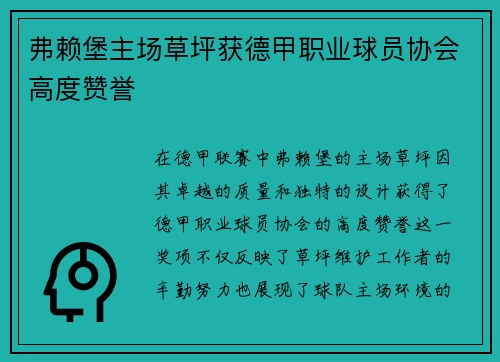弗赖堡主场草坪获德甲职业球员协会高度赞誉