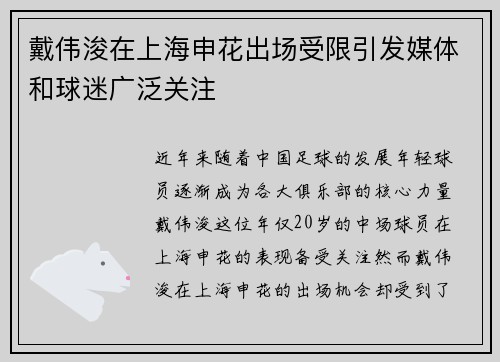 戴伟浚在上海申花出场受限引发媒体和球迷广泛关注